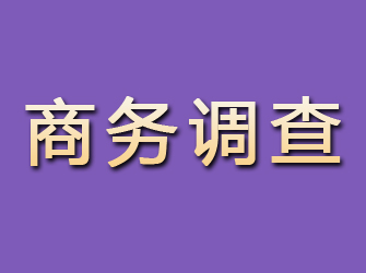 沧浪商务调查